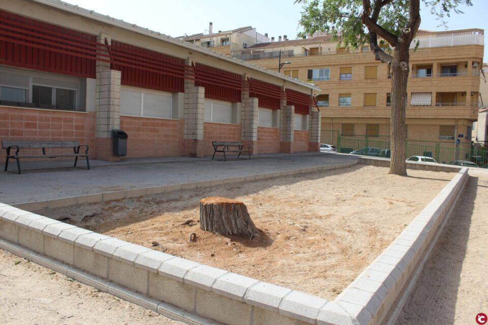 Culminan los trabajos de seguridad en el arbolado de Príncipe y Celada