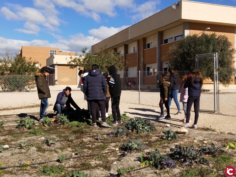 El Ministerio de Educación acaba de comunicar al CEIP Padre Manjón e IES La