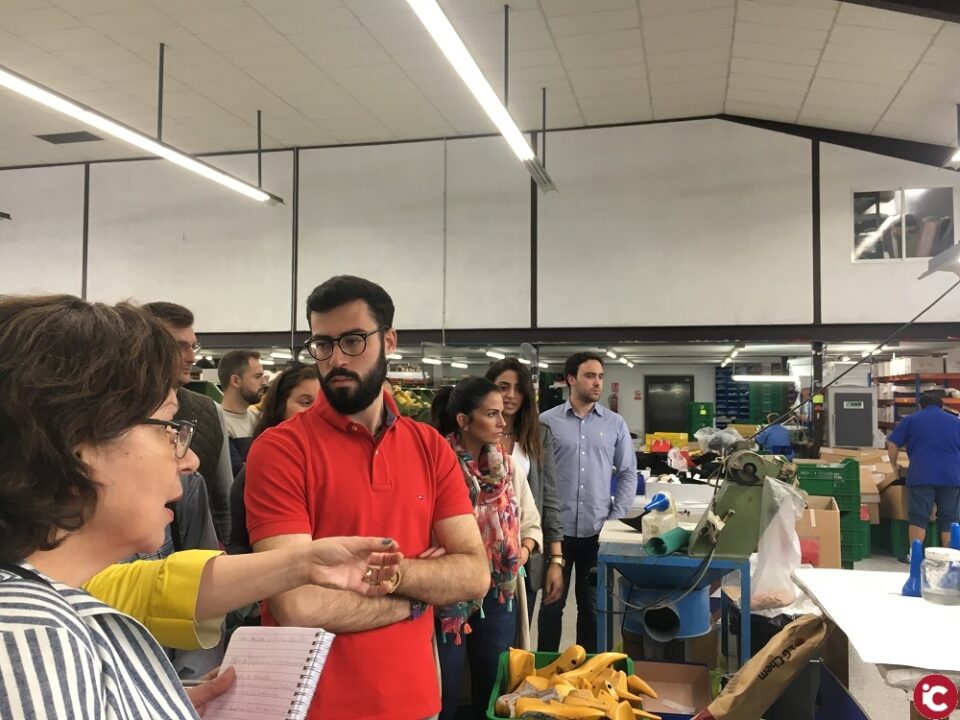 La UA abre la presinscripción del título de "Especialista en diseño y gestión de la innovación aplicable al sector del calzado"