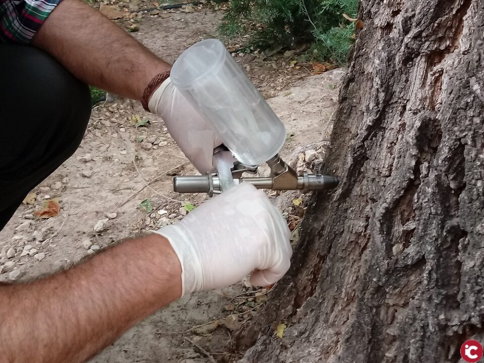 Endoterapia en árboles para combatir plagas