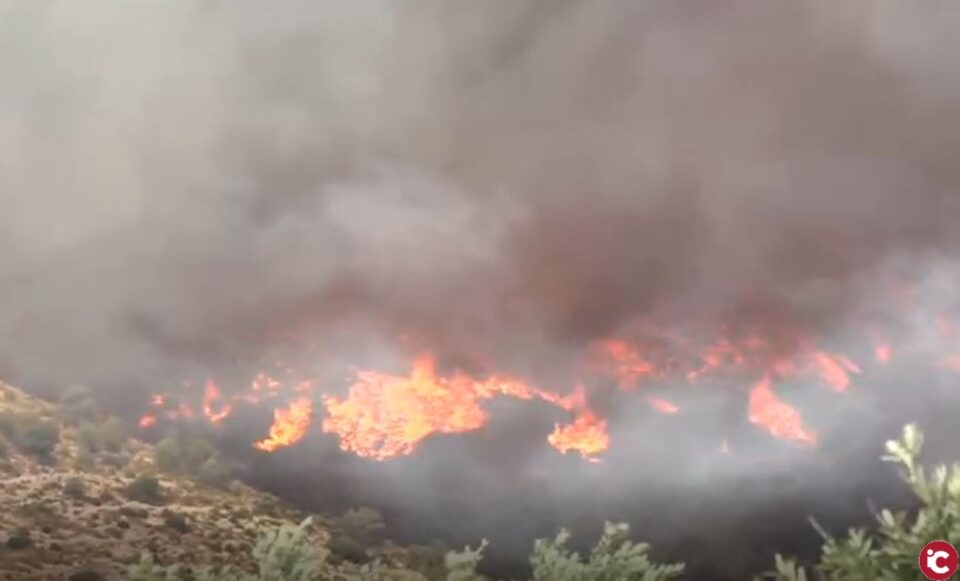 Programa "Día a día" del día 16 de julio de 2019