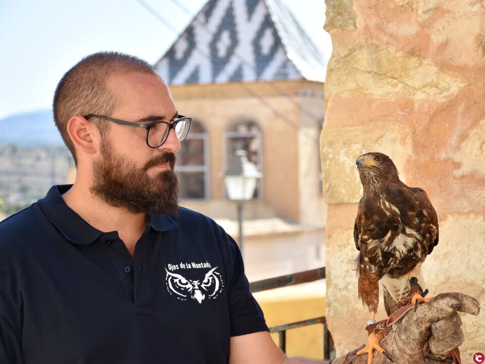 El Ayuntamiento de Xixona impulsa una nueva campaña para controlar la sobrepoblación de palomas en el municipio