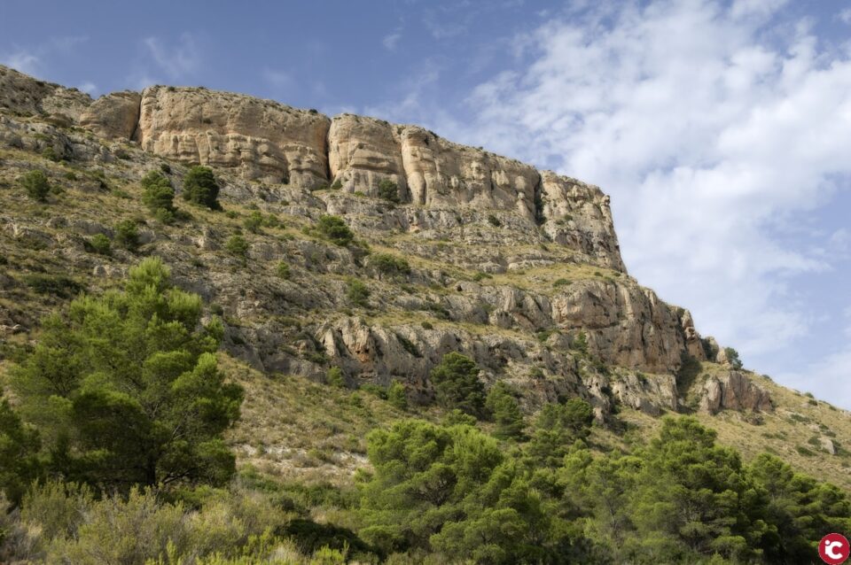 La Diputación de Alicante pone en marcha una nueva edición de los Campos de Voluntariado Ambiental