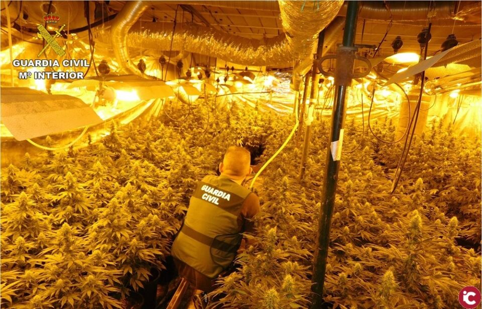 La Guardia Civil desarticula una red criminal