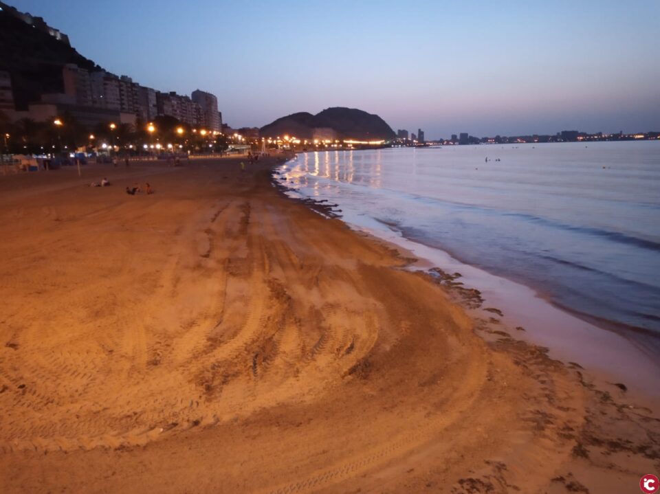 El Ayuntamiento intensifica el servicio de retirada de algas de las playas de la ciudad