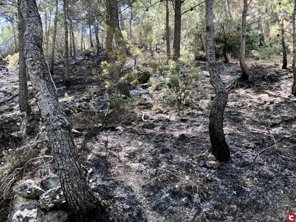 El incendio registrado el viernes en el paraje Natural Municipal del Monte Coto de Pinoso