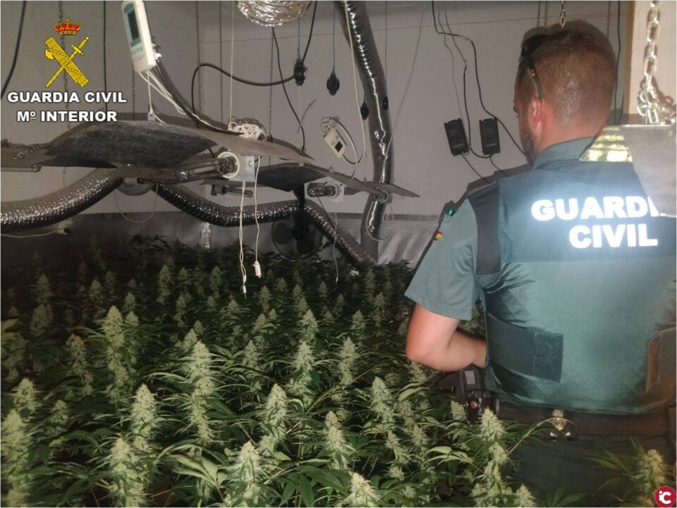 La Guardia Civil desmantela dos plantaciones más de marihuana indoor en la provincia de Alicante