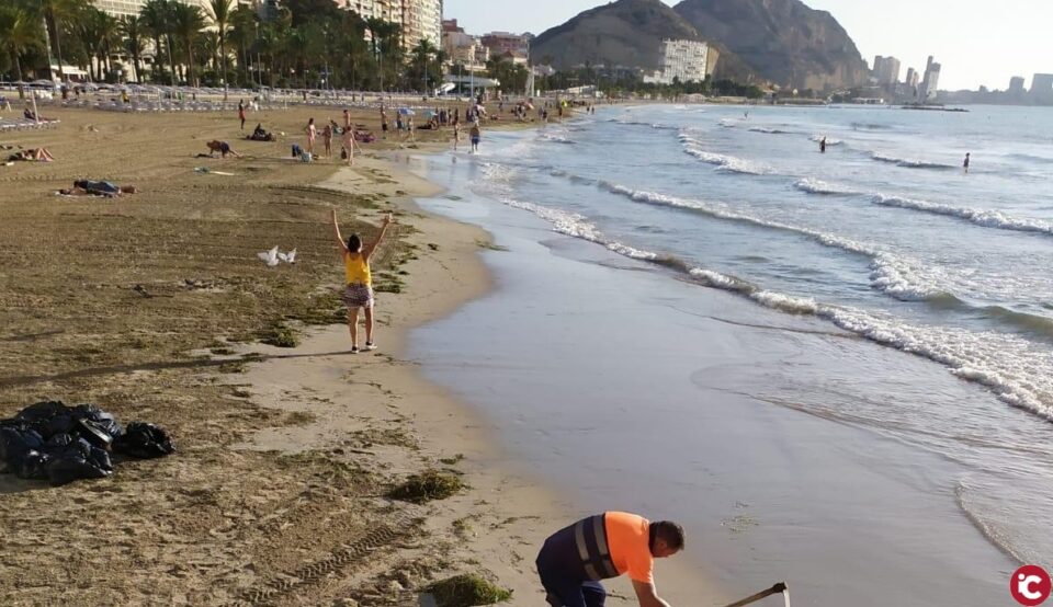 El Ayuntamiento de Alicante abre al baño el Postiguet y realiza un gran despliegue de medios para recuperar las playas