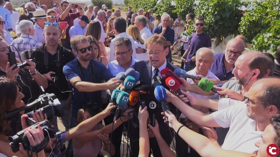 Presentación de la Campaña de la Uva de Mesa del Vinalopó