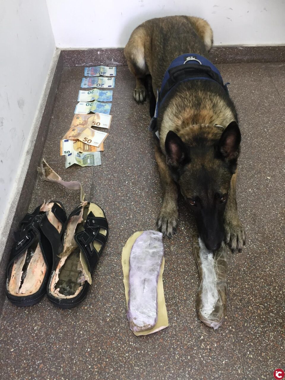 La Unidad Canina de la Policía Local de Alicante detiene a una persona con 493 gramos de hachís ocultos en el interior de las suelas de unas sandalias en la estación de autobuses