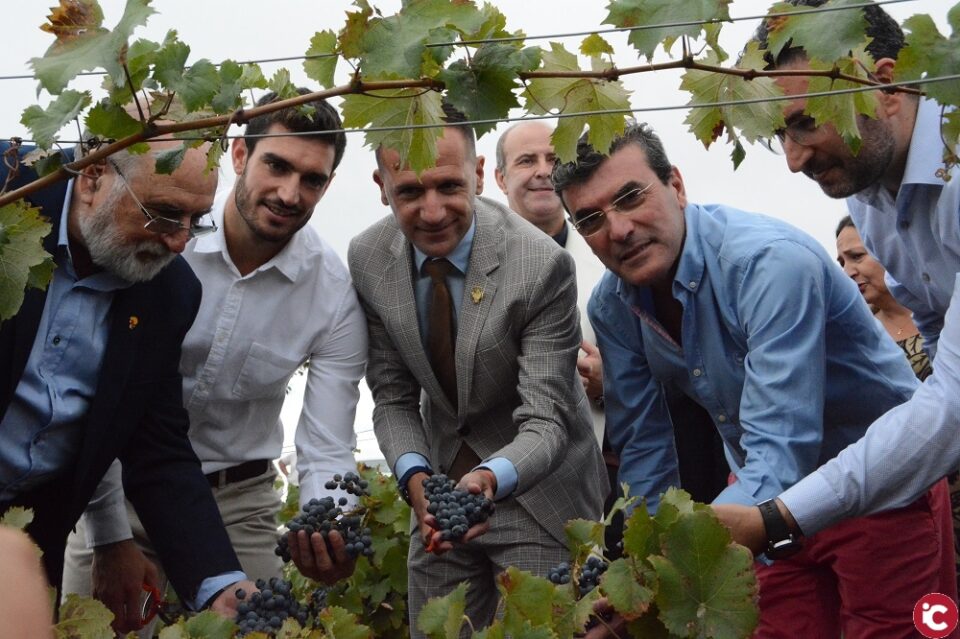 La Vendimia abierta se celebra en Pinoso y pone en valor el trabajo de los agricultores