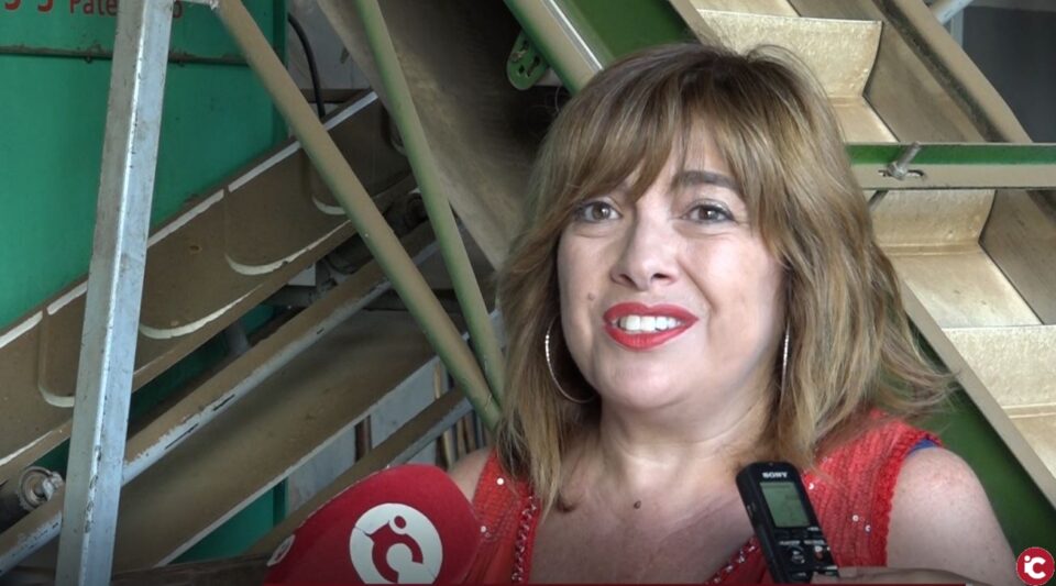 Se presenta una nueva jornada de la actividad "Arraigados"