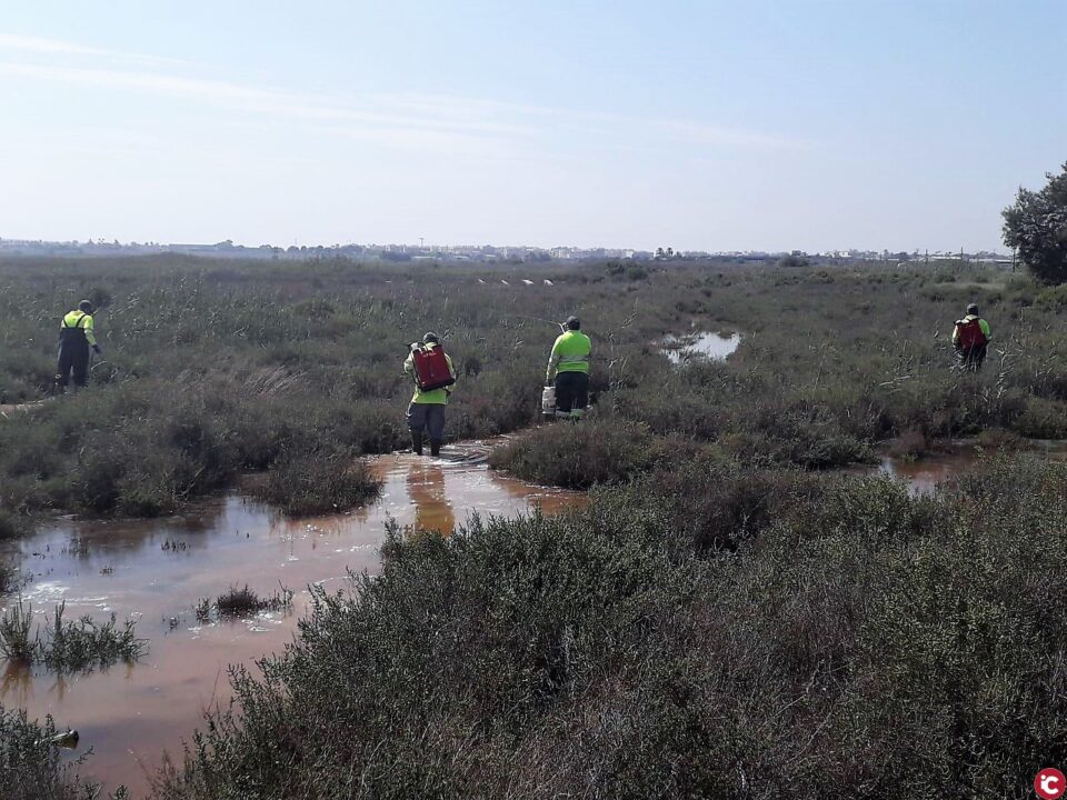 Villar promoverá una reunión técnica de coordinación con los municipios vecinos para controlar y combatir las plagas de mosquitos