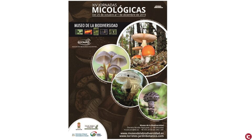 XIV Jornadas Micológicas de Ibi