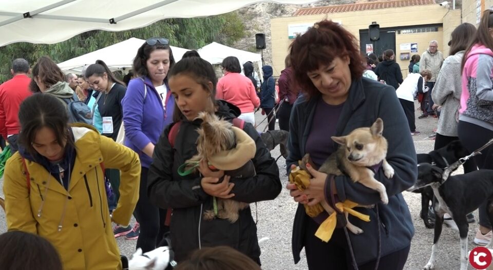 11ª edición de la MARCHA CANINA