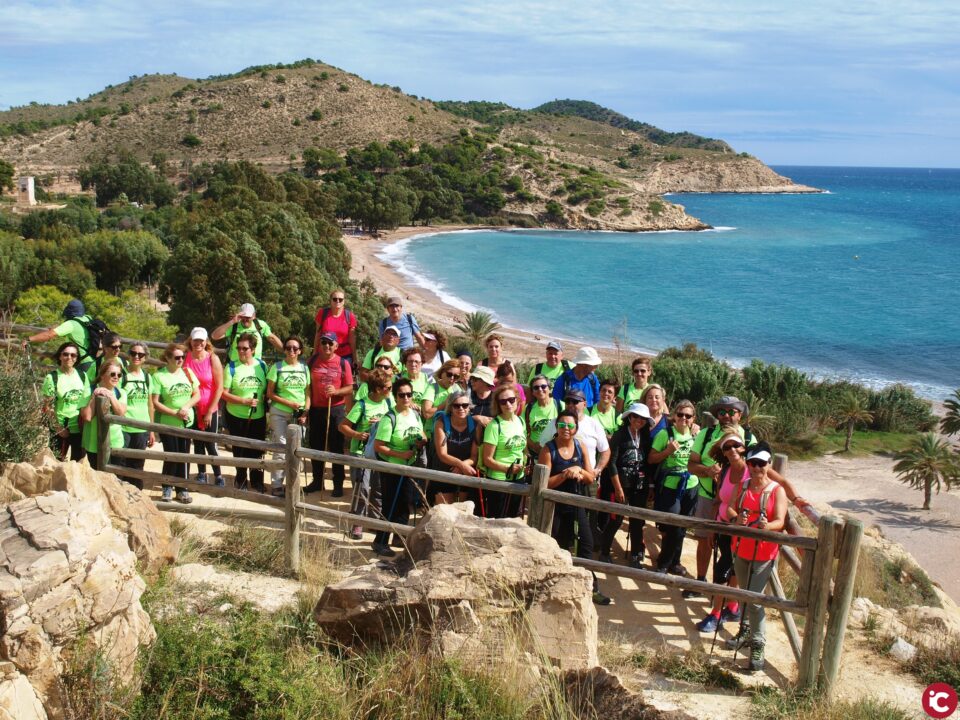 Aviana en Villajoyosa  Torre del Aguiló