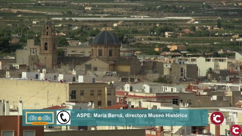 Fallo del XV Premio de Investigación Manuel Cremades 2019