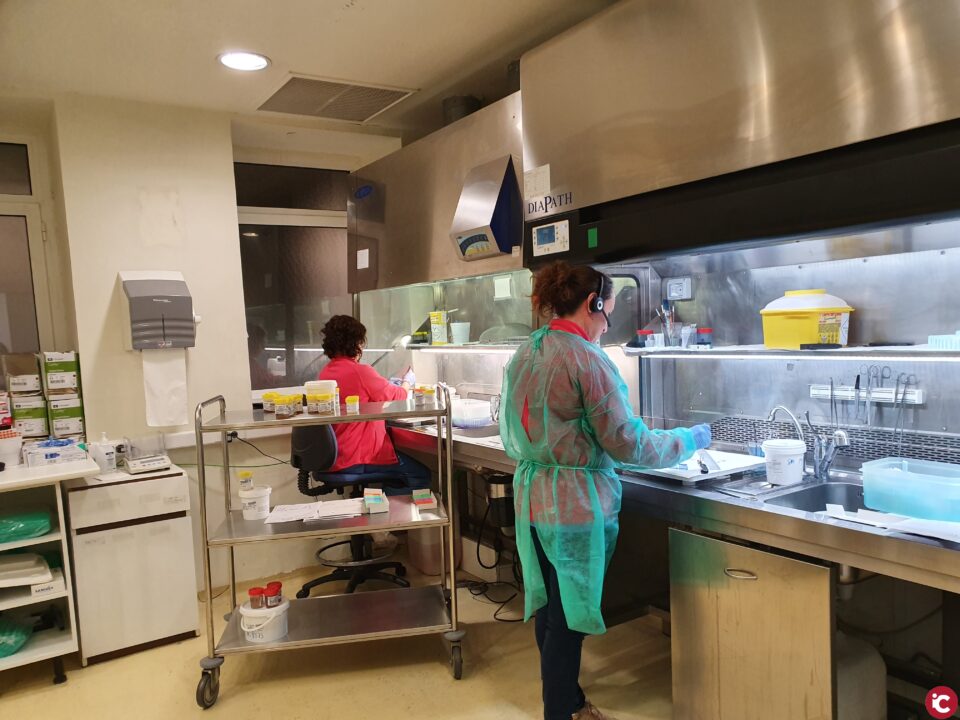 Sanidad adjudica la reforma integral de Anatomía Patológica del Hospital de Elda