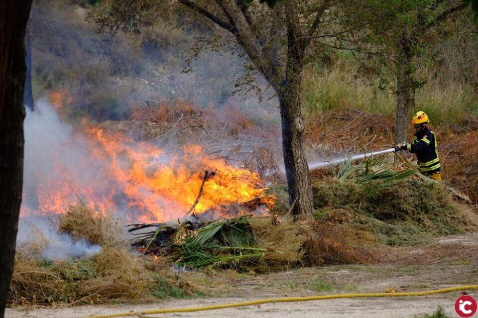 El PP pide explicaciones al Gobierno y a la concesionaria del contrato de Parques y Jardines por el incendio en los Jardines del Vinalopó
