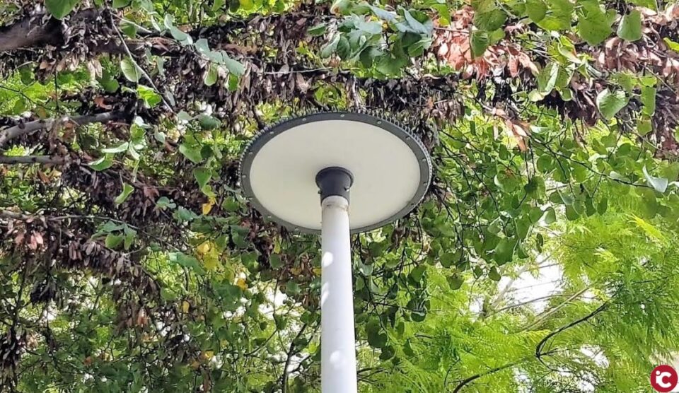 El Ayuntamiento renueva la iluminación del parque Hidalgo Caballero con la instalación de farolas LED más eficientes