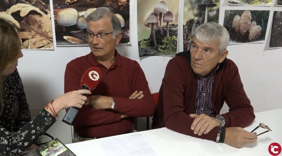 Hoy hablamos con... Asociación Micológica Alicantina