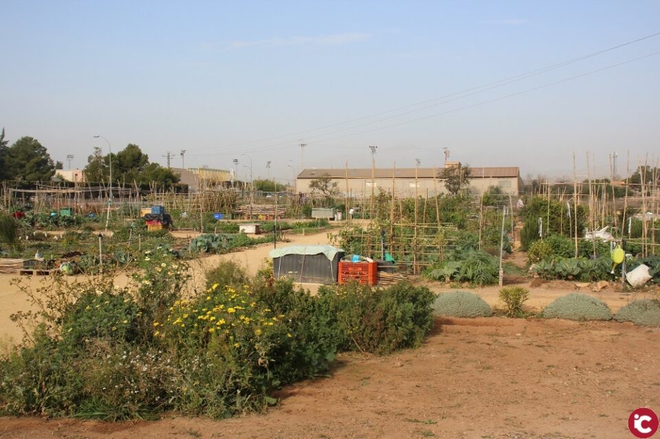 Usuarios de los huertos urbanos municipales elaboran su propio abono natural
