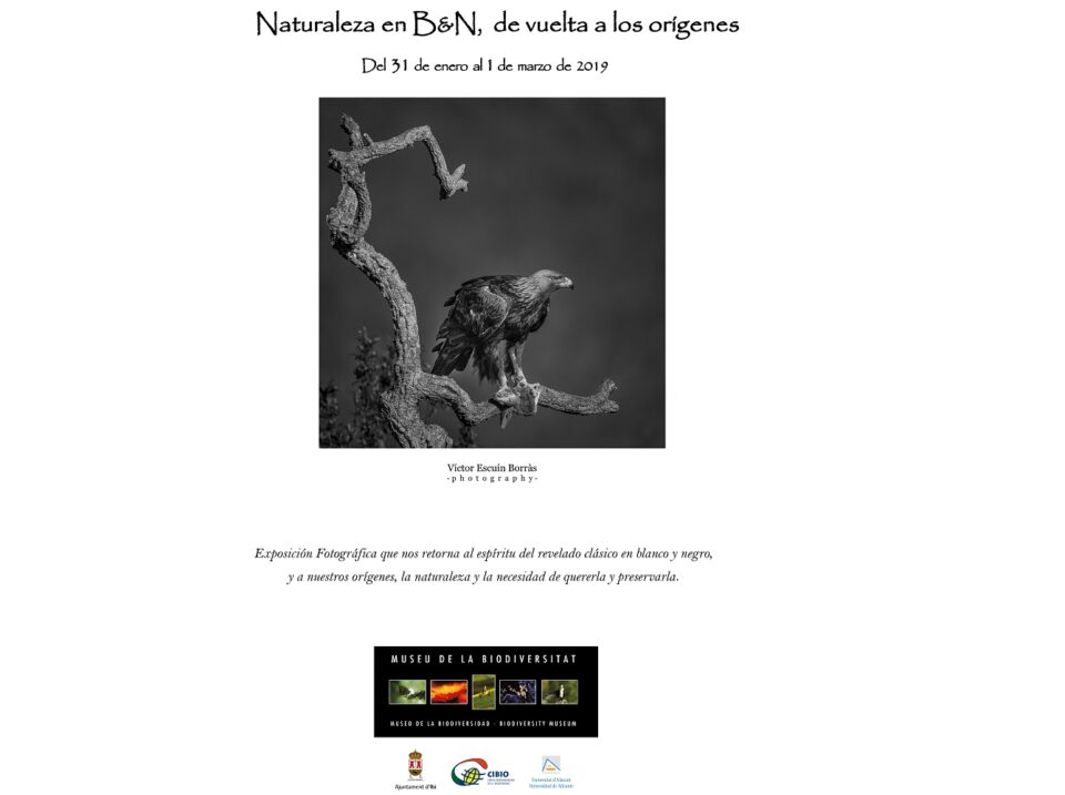 El Museo de la Biodiversidad de Ibi inaugura la exposición fotográfica Naturaleza en B&N