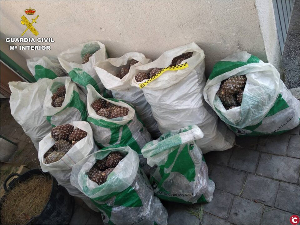 La Guardia Civil detiene e investiga a 18 personas por robos en el campo