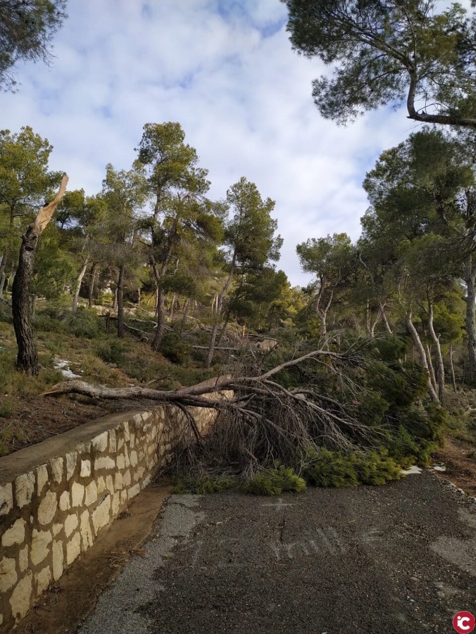El Ayuntamiento de Ibi cierra el área recreativa de San Pascual por desperfectos tras el temporal