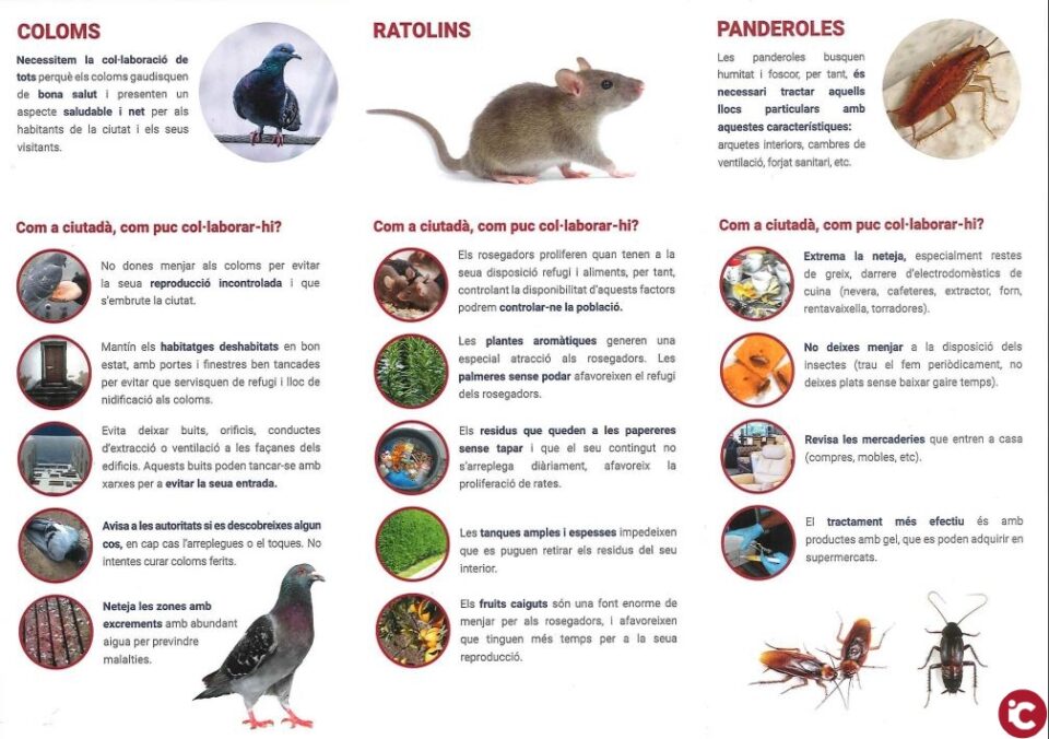 LAjuntament reparteix informació per al control de plagues