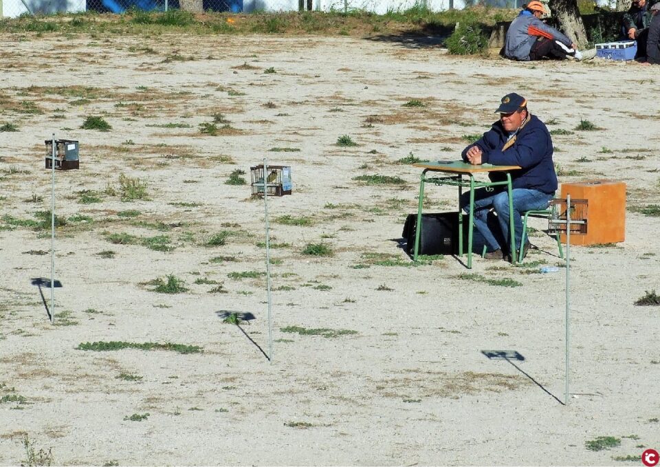 Aspe acoge el Memorial Timoteo Lavios de Canto de Pájaros Silvestres
