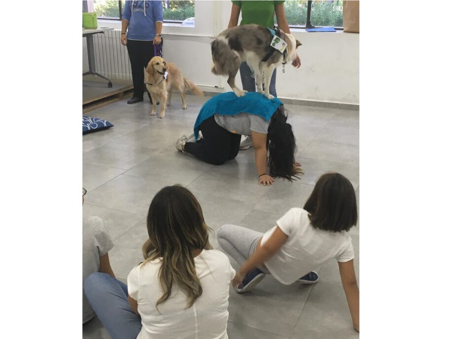 El pressupost 2020 aposta per la formació i leducació en la participació