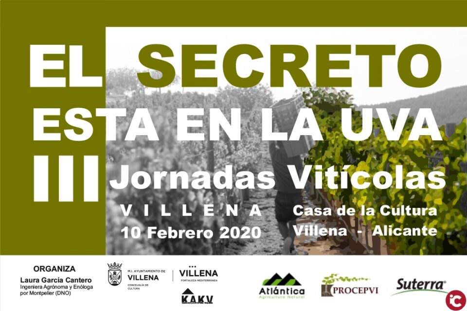 El secreto está en la uva