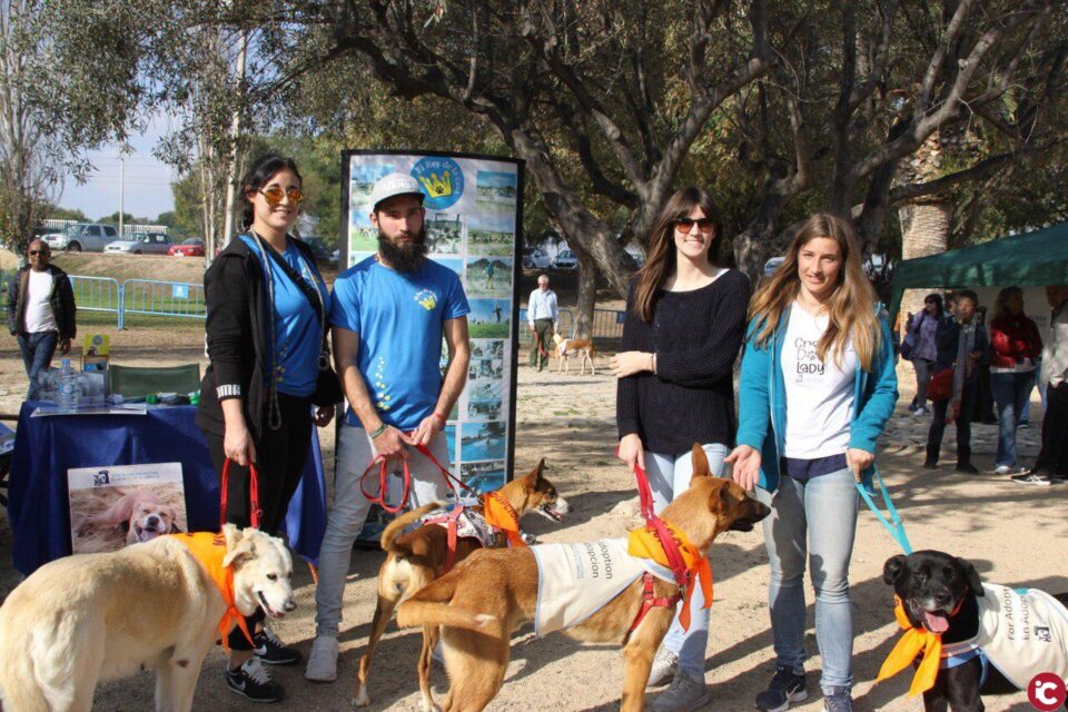 Cientos de personas comparten una soleada jornada dominical en el V Festival de la Adopción de Perros de El Campello