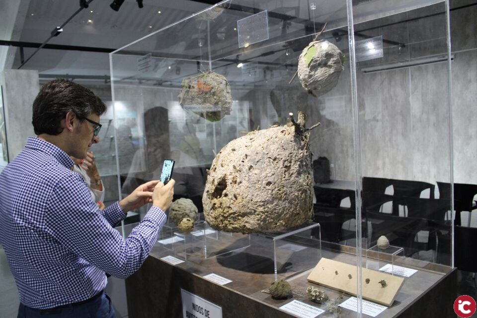 El Museo de Biodiversidad registró 13.188 visitantes el pasado año