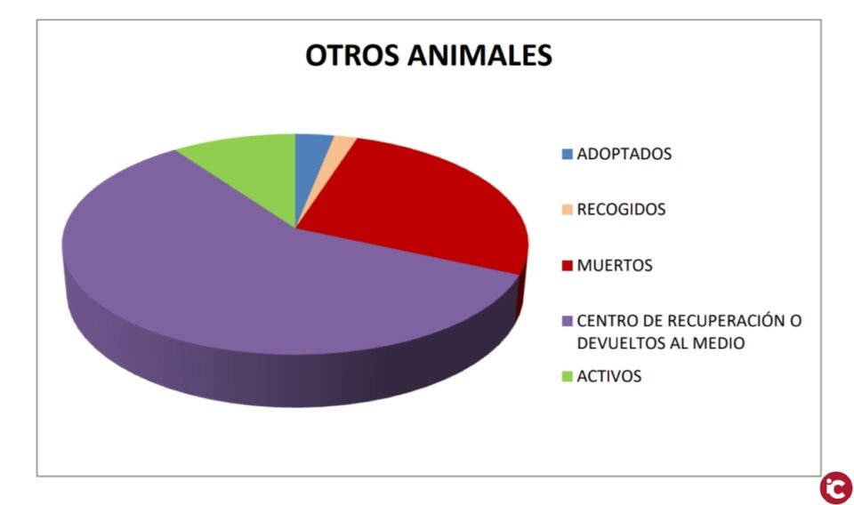 Protectora de Villena (SPAP): Datos 2019