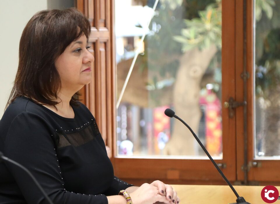 La Comisión de Bienestar Social aprueba más de 730.000 euros en ayudas en materia de accesibilidad