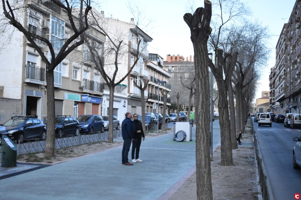 El Ayuntamiento de Petrer sustituye varios árboles de la avda. Felipe V tras detectarse varios olmos enfermos