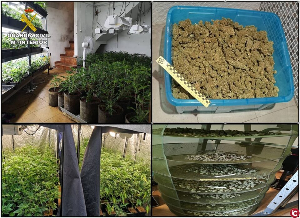 La Guardia Civil sorprende en Novelda a dos hombres realizando un pase de medio kilo de marihuana en la vía pública