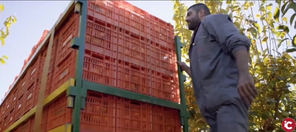 La Conselleria d'Agricultura posa en marxa la campanya #AquestesMansSeguiran