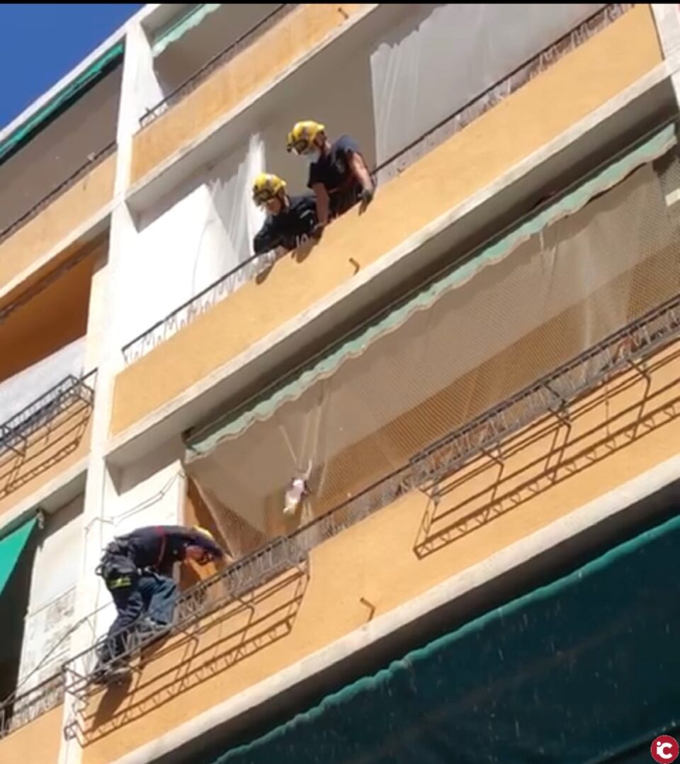 Los bomberos del SPEIS retiran un enjambre con 50.000 abejas de la jefatura de la Policía Local de Alicante