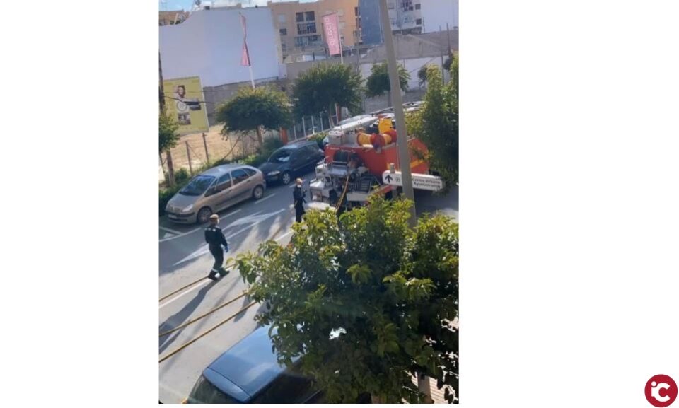 El Archivo municipal te invita a enviar tus fotos del confinamiento para la historia de San Vicente