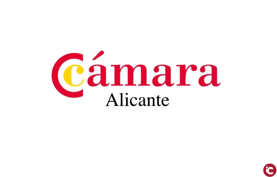 La Cámara elaborará el documento: "Alicante