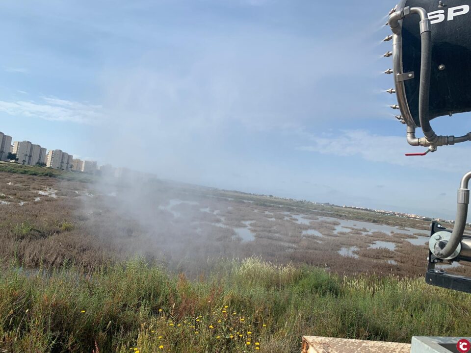 Alicante intensifica los tratamientos químicos contra mosquitos a consecuencia de las lluvias
