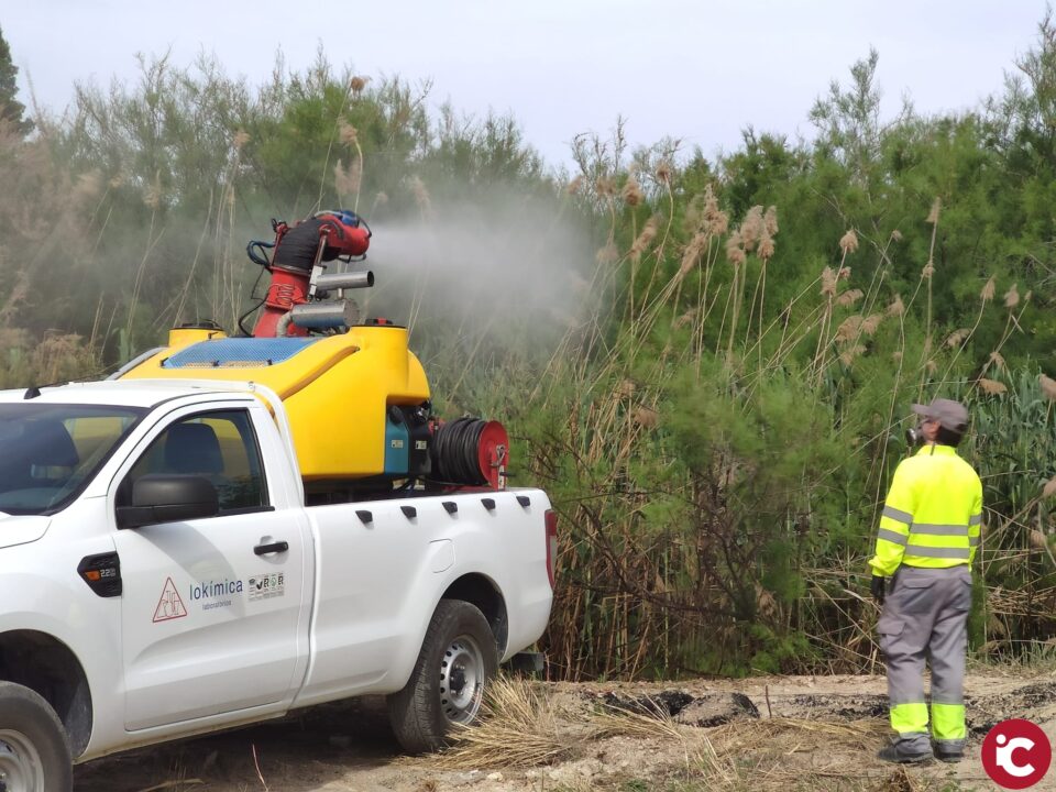 Sanidad inicia la campaña de tratamiento contra el mosquito