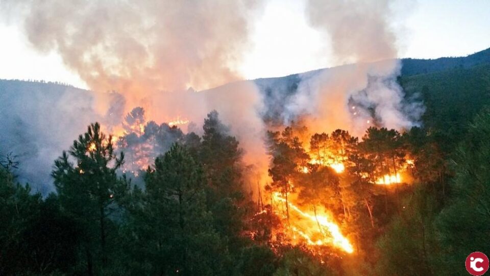 La Diputación crea una línea de ayudas para colaborar con los municipios en la redacción de planes de prevención de incendios forestales