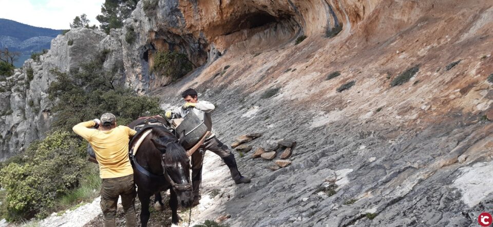 Ja han començat les obres al voltant de les pintures rupestres de la Sarga