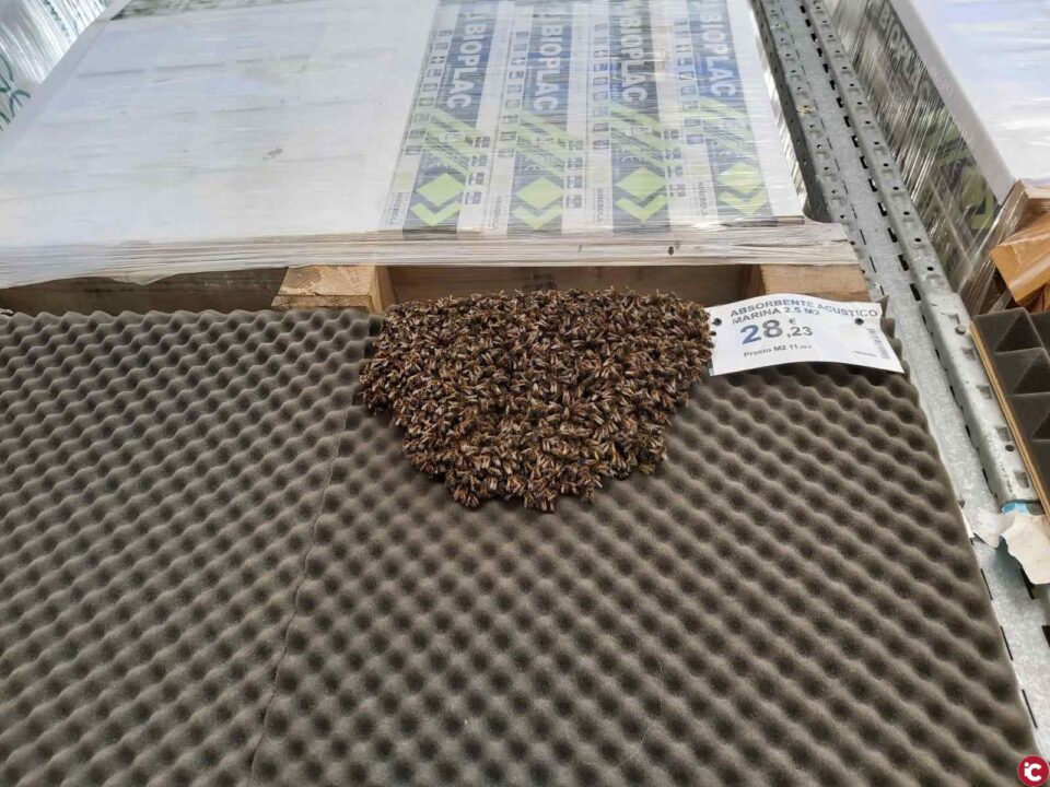 Los bomberos del SPEIS retiran un enjambre con miles de abejas en una tienda con materiales de construcción del parque comercial de Vistahermosa en Alicante