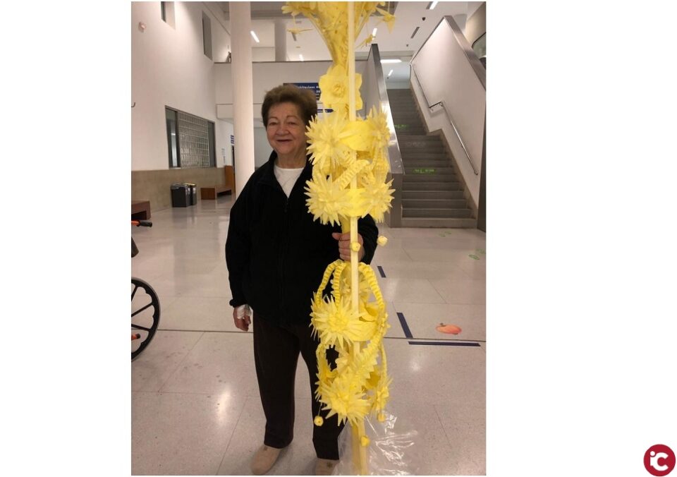 LA UNIÓ de Llauradors critica que Conselleria d'Agricultura s'oblide del cultiu de la palma en les ajudes per als sectors afectats per la Covid-19