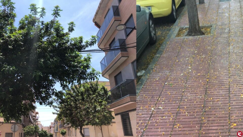 PP SAN VICENTE: "Quejas vecinales por la suciedad de las calles